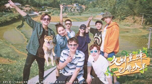 《向往的生活》嘉宾种菜都是假的,这一细节暴