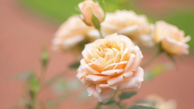 朋友圈特别暖心的话,喜欢就收藏了吧