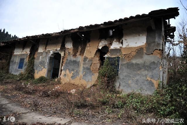 重要通知丨今年农村住房改建补贴款大幅增加,