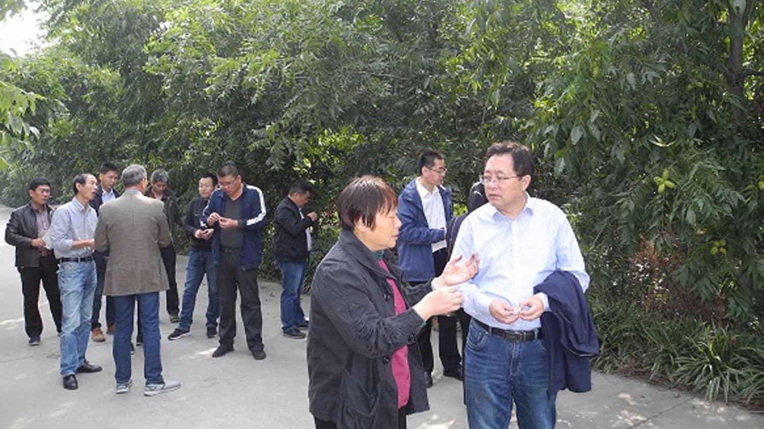 中国农科院程存刚:金土地公司对碧根果的研究超过了国有企业 中国农科院程存刚:金土地公司对碧根果的研究超过了国有企业