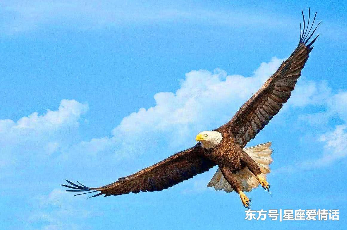 财神家中坐镇,3生肖运势大转机,下周大红大紫,富贵人生不缺运