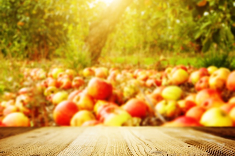 易果CEO张晔:先完成10亿精准扶贫的小目标