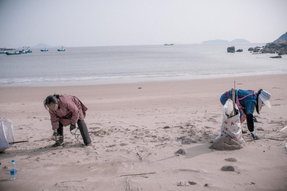 海灘邊撿垃圾女工,年齡最大近六十,旅遊旺季一天撿幾十袋垃圾