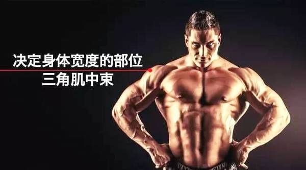 轰炸三角肌!加强中束,让你的虎头肌更3D!
