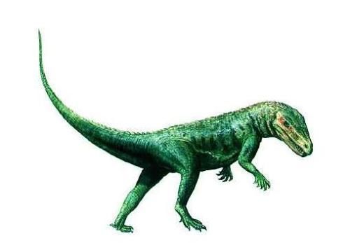 恐龙统治地球上亿年,进化出了各种各样的特色