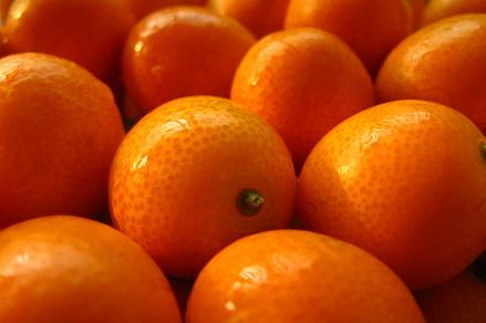 金桔全身都是宝,3天止咳化痰,秒杀上千种止咳