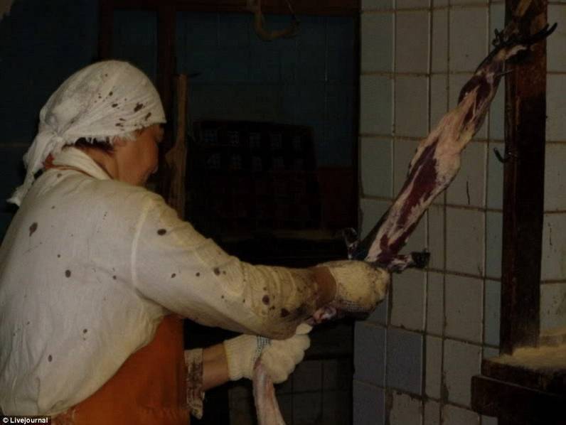 探访皮草工厂:活剥貂皮 动物尸体堆积如山