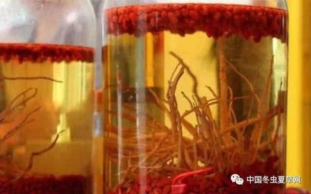 每天一小杯枸杞酒,养生大功效!教你6款枸杞酒