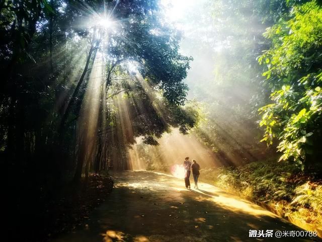 房产特大新闻,最近想买房的抓紧看看