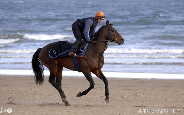 属马人不同出生年份不同的财运运势,幸运数字