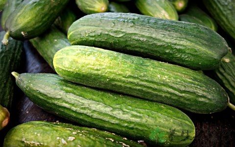 血糖高皮肤会痒吗