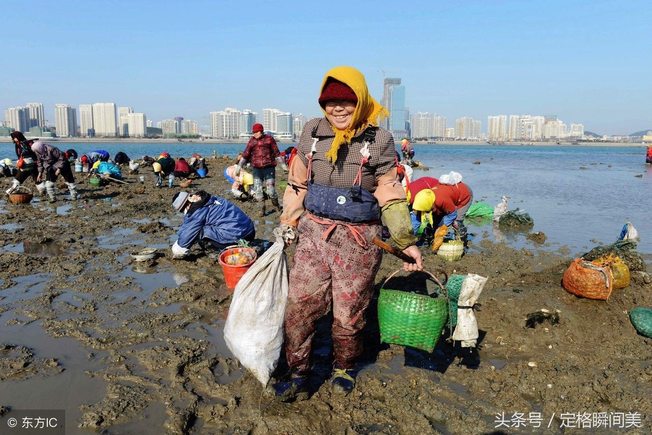 来青岛旅游 栈桥赶海淘宝乐趣多 螃蟹 蛏子随