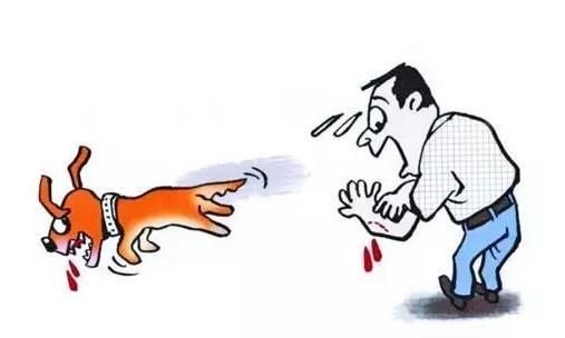 狂犬疫苗何时必须打?从伤口暴露等级看应对方