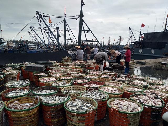 京东生鲜冷链配送已覆盖全国300个城市,开启京