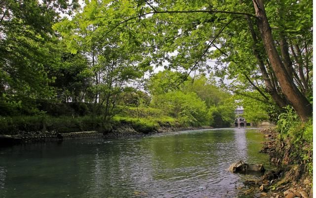 温江绿道成都周边一日游最佳景点