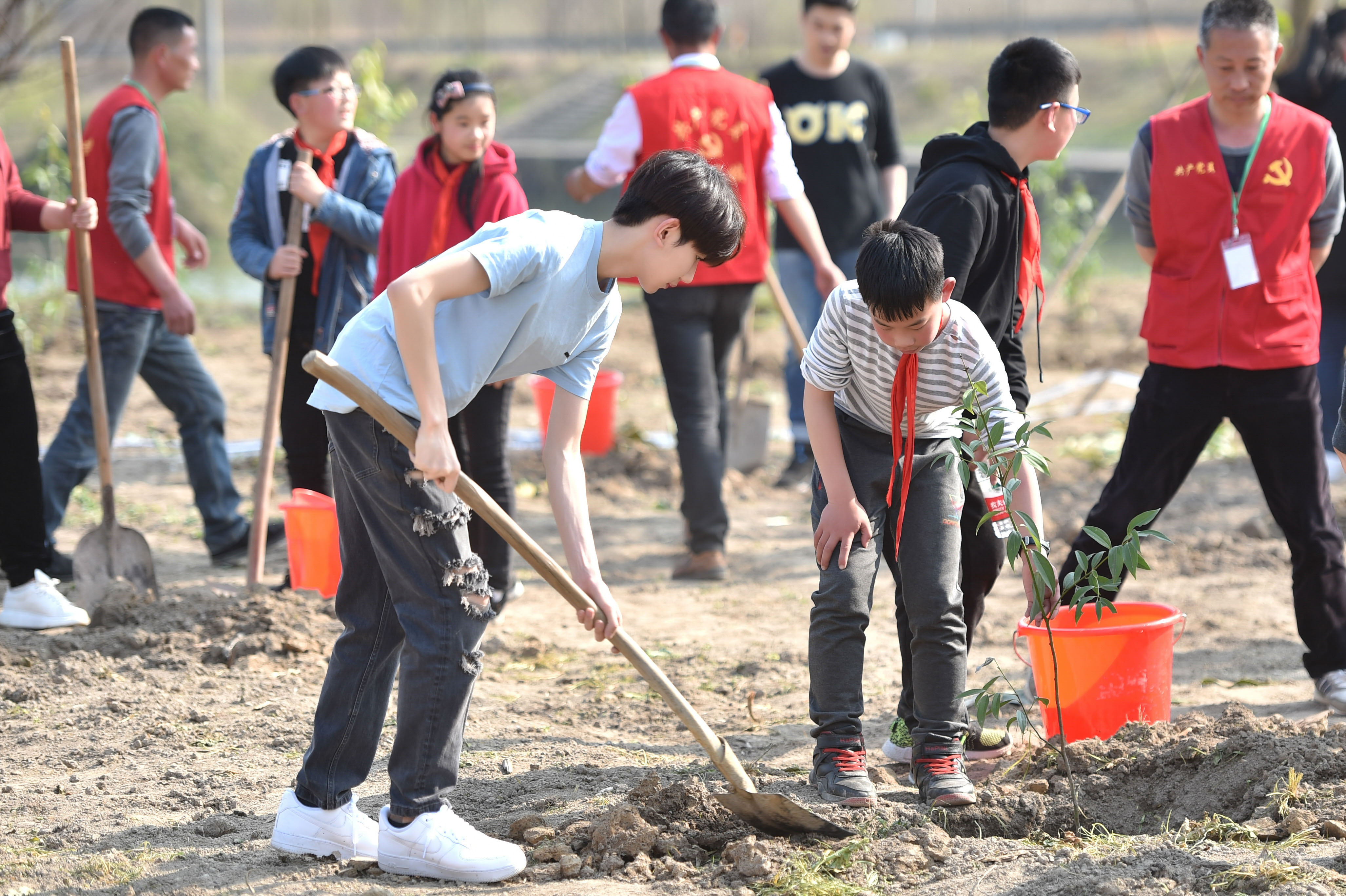 王源贾玲欧阳娜娜化身植树小能手守护绿水青山
