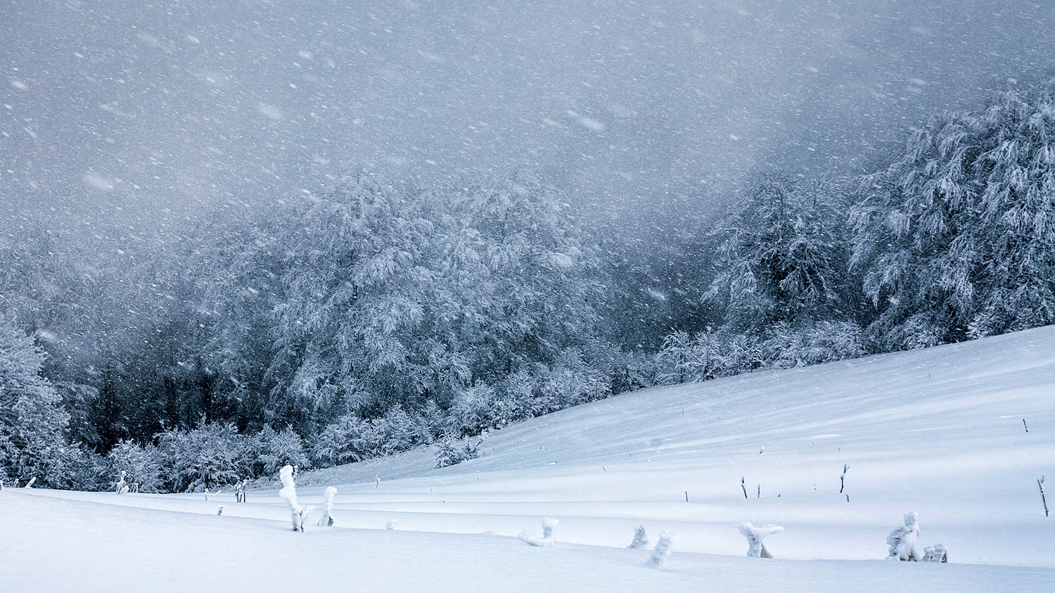 预计降雪总时长超48小时！北京降温降雪6问6答