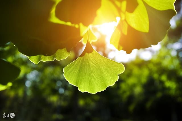 这些甜到腻心的情话,每一句都适合男朋友说给