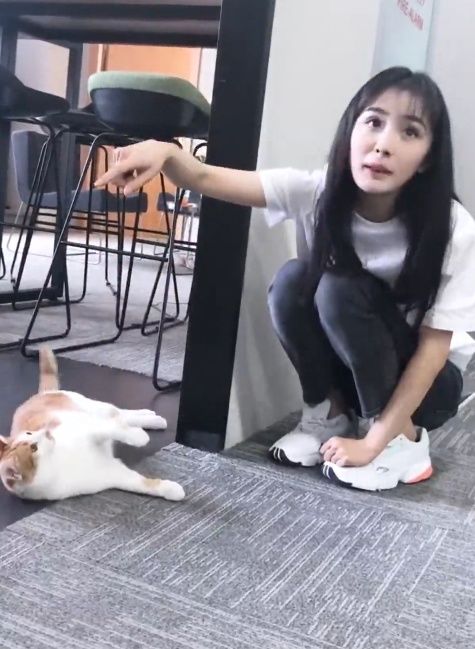 范冰冰案件拯救了高云翔,高云翔案拯救了杨幂