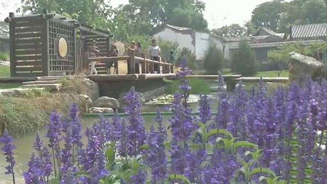 保护和更新相衔接 东城区打造首都历史文化“金名片” 保护和更新相衔接 东城区打造首都历史文化“金名片”