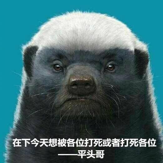 搞笑gif:掐洗你,你以为我吃得起那么大的虾吗?