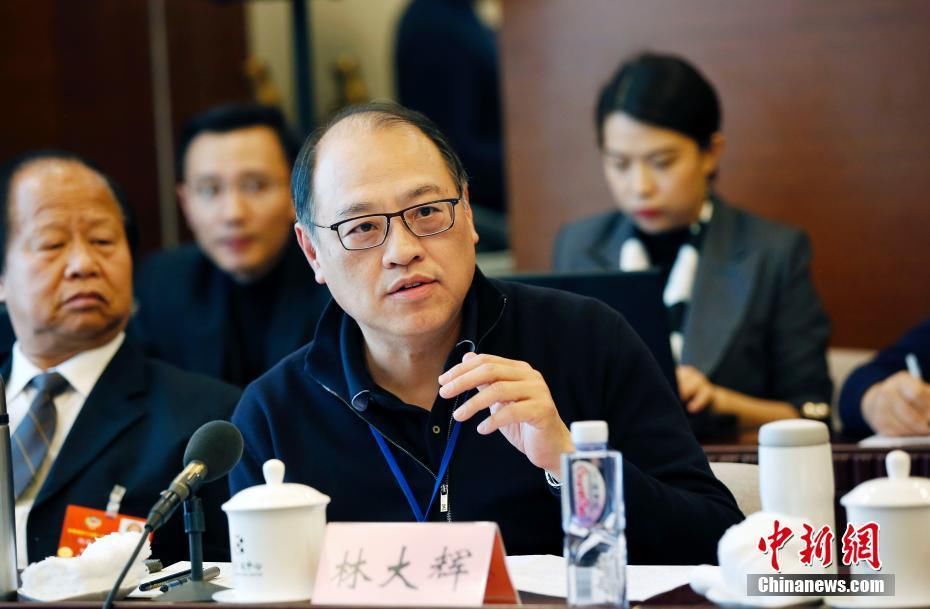 全国政协委员讨论政府工作报告 杨伟民委员发言