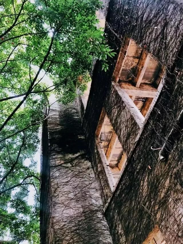 快看!风靡全国的洪崖洞、李子坝要变了!