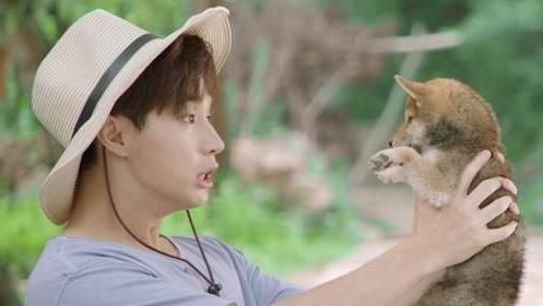 王嘉尔为何讨厌刘宪华?《向往的生活》总导演