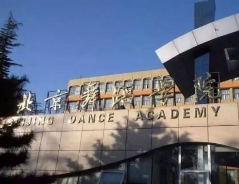 舞蹈 |芭蕾--脚尖踮出最美丽的《芳华》