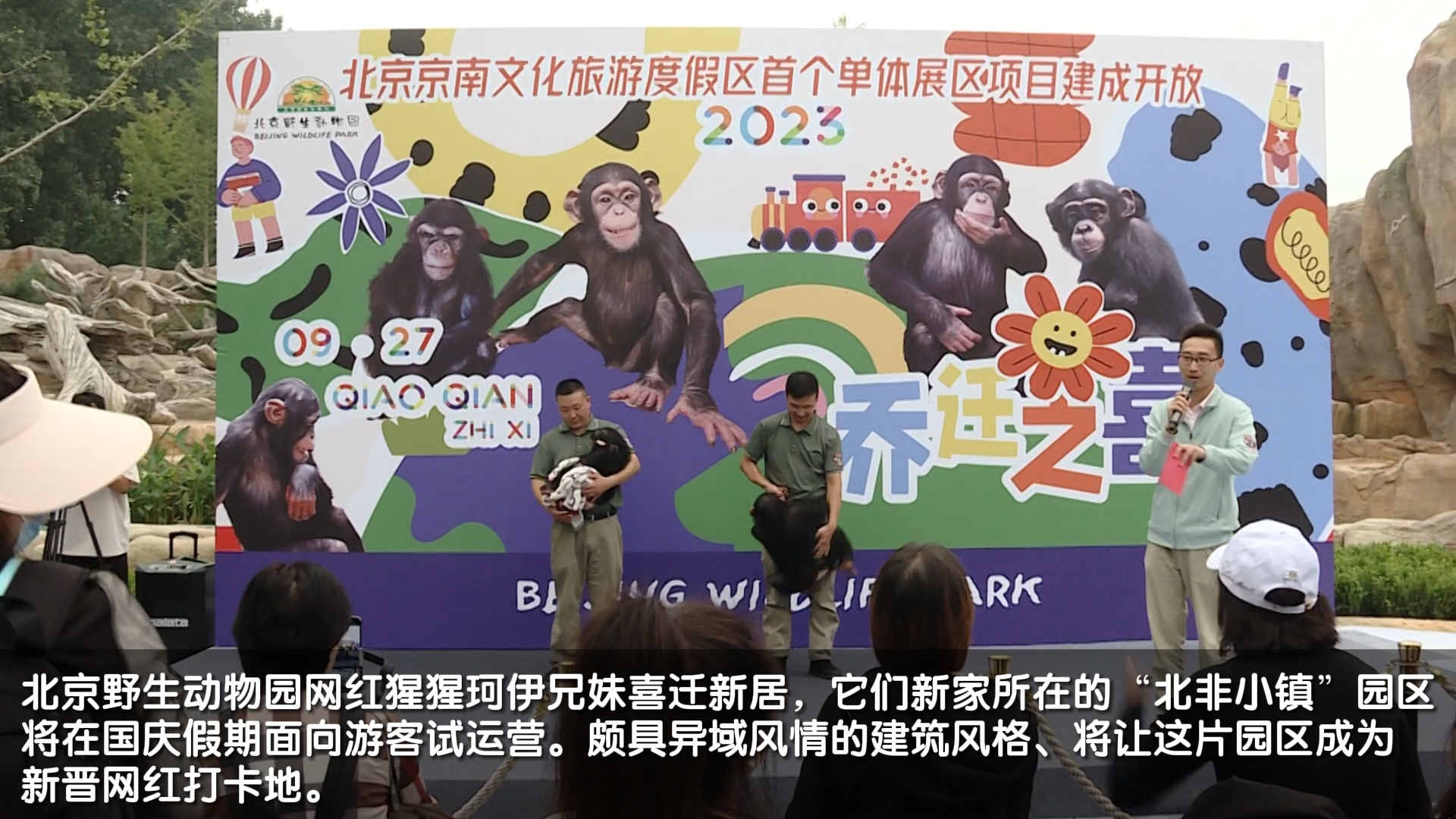 北京野生动物园“明猩”乔迁新居 北京野生动物园“明猩”乔迁新居