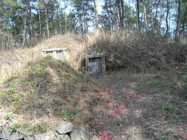 大清最尴尬的亲王:康熙的儿子,雍正的弟弟,因失