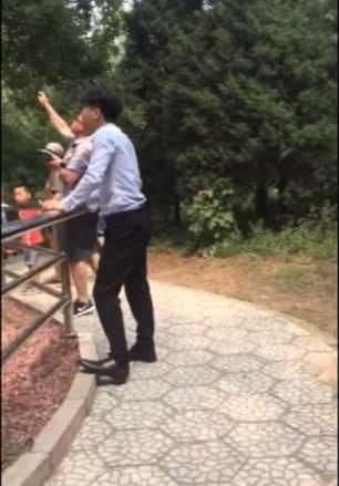 游客拿石头砸老虎为了让它动,一旁女子帮腔:拿