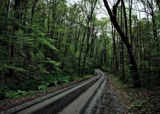 心理测试:假如你迷路了,会走哪条路?测你天生