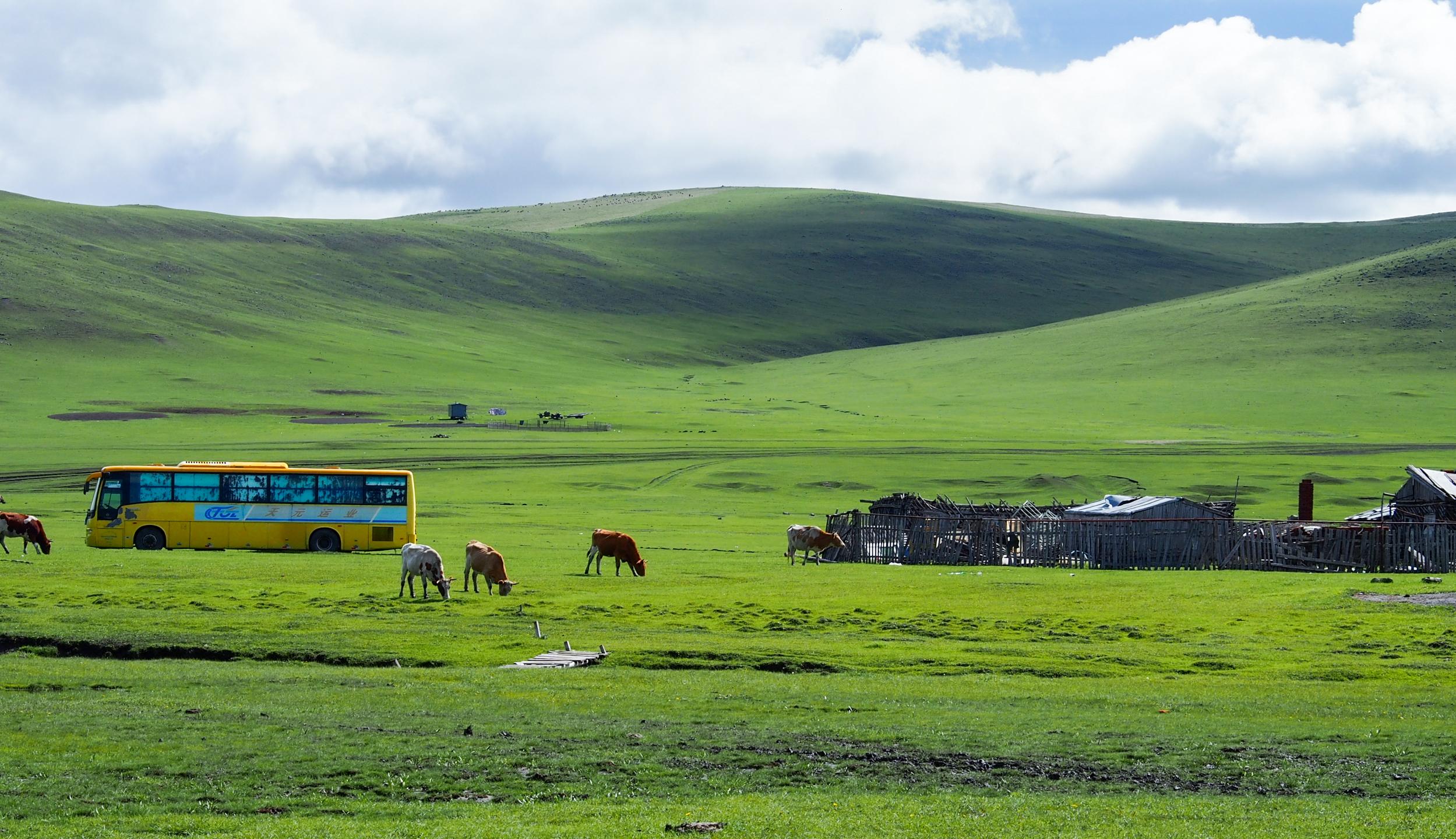 然而有这样的一个人偏要不走寻常路,在大草原中建立了生态采摘园,他就