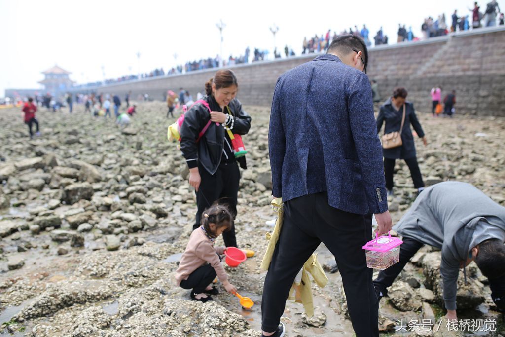 人从众!青岛栈桥赶海度假乐,蛤蜊螃蟹海螺免费