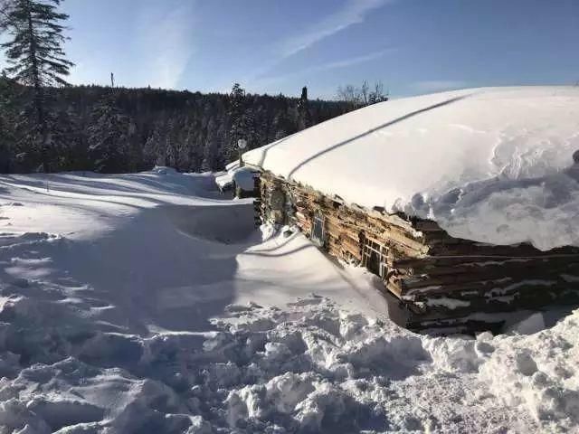 雪乡真的没人去了,你满意了?