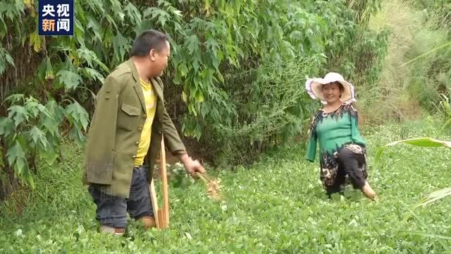 凭借“一只手+两条腿”脱贫 这对夫妻获全国脱贫攻坚奖