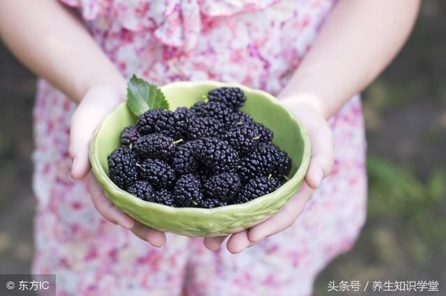 桑葚这样吃最养肾补精,效果翻10倍,尤其是对