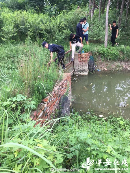 宿州命案嫌犯追捕中跳楼自杀 此前被警方悬赏