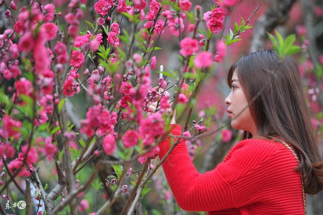 2017年底,桃花运非常旺盛,容易相亲成功的5大生肖!