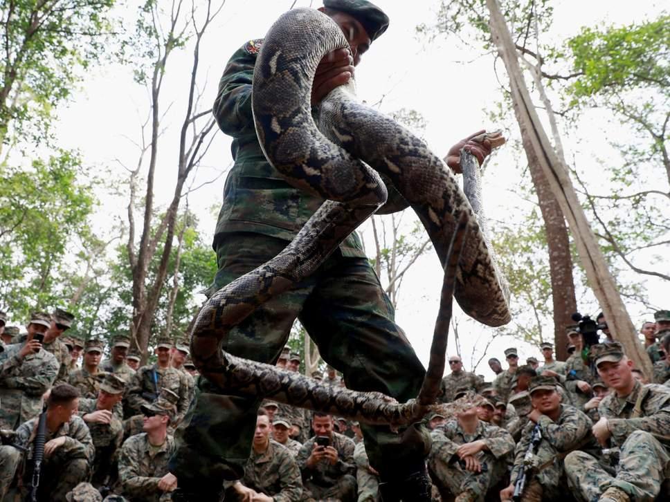 一名泰国士兵在展示一条巨蟒.(路透社)