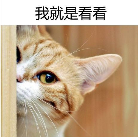 2018福建公务员考试申论范文:共享单车走好共