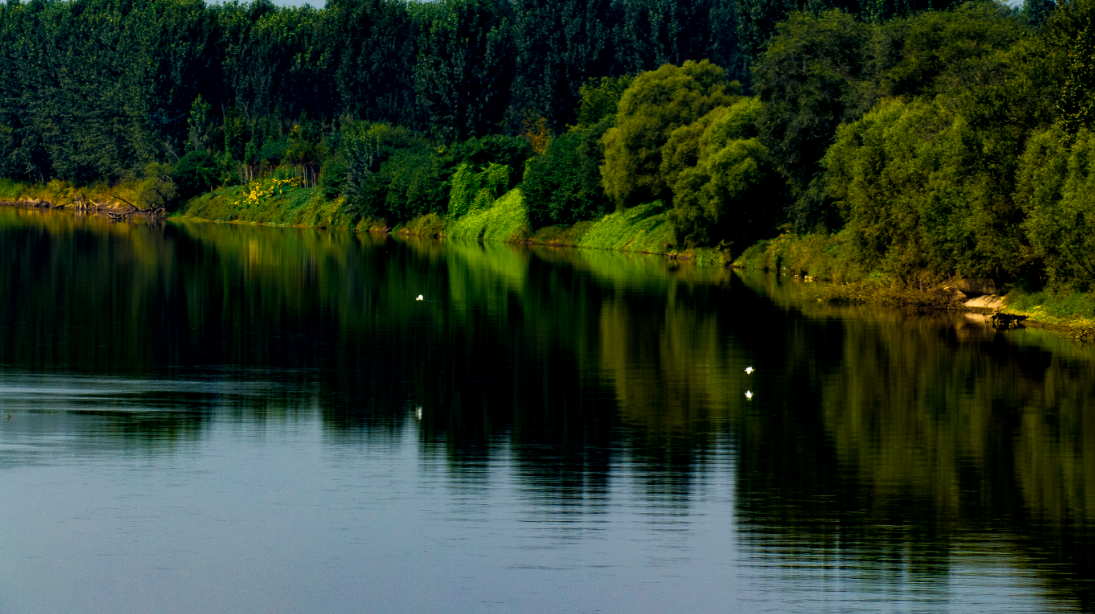 "我身边的运河故事"| 孙建平:北京运河故道风光(组图)