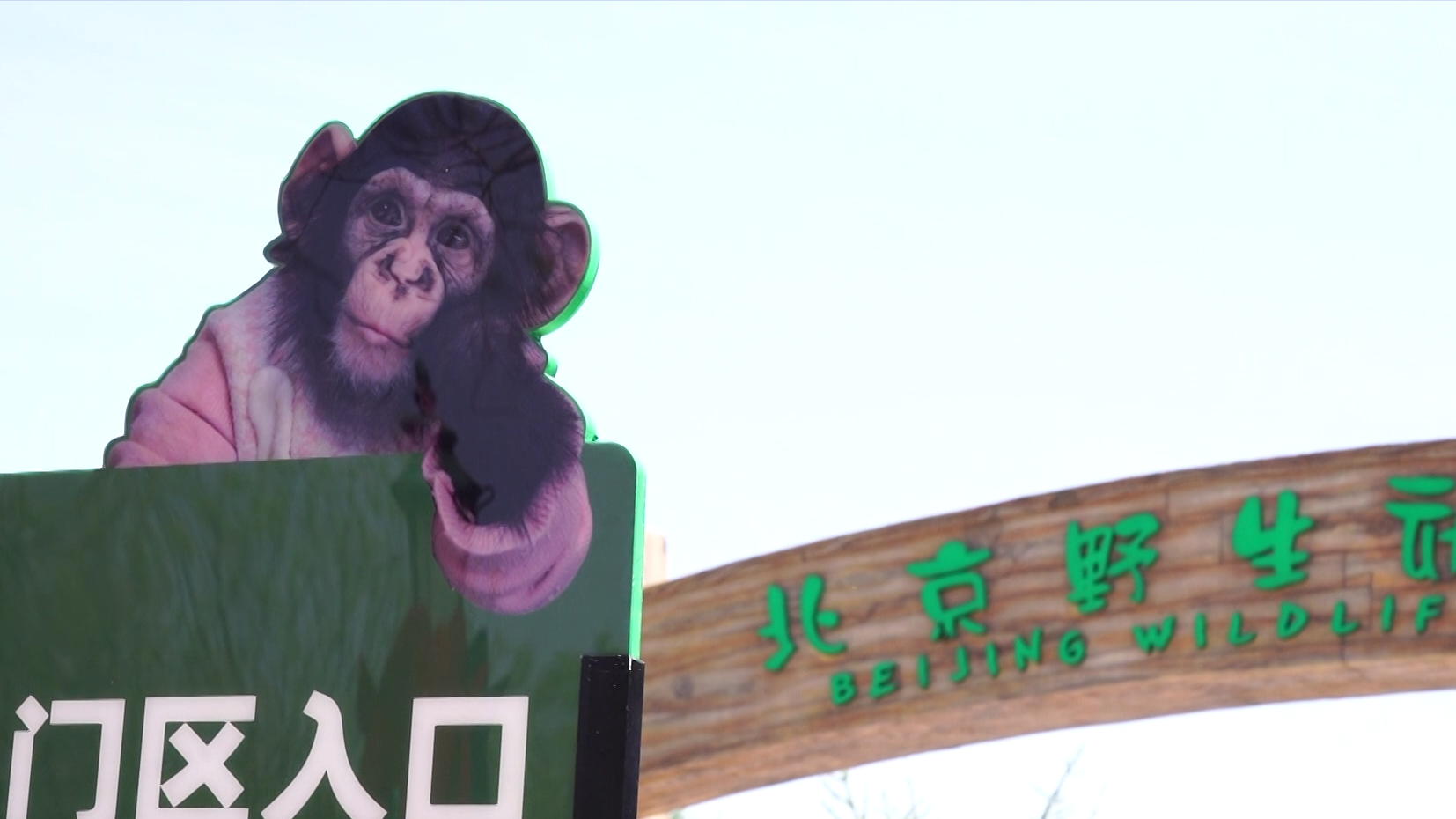 北京野生动物园再添新展区！来一次和动物们的亲密接触~