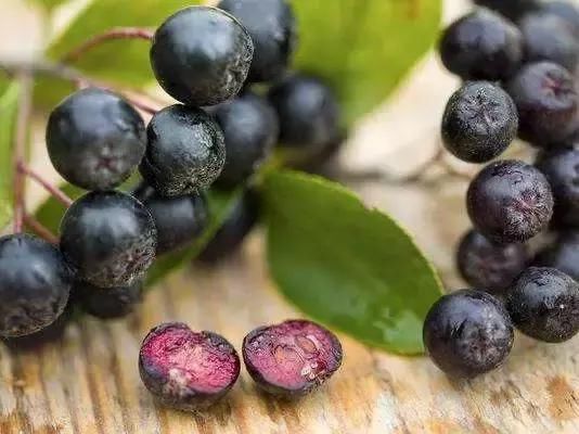 黄磊9天瘦20斤,古天乐3天瘦18斤,减的想死是因