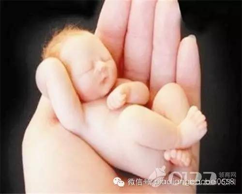 胎儿大脑发育的关键期是什么时候