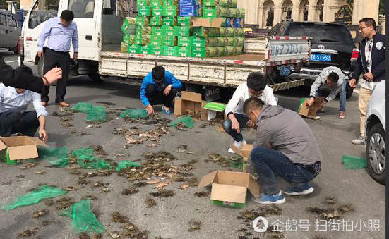 货车侧翻螃蟹集体出逃 市民“哄抢”还车主 货车侧翻螃蟹集体出逃 市民“哄抢”还车主