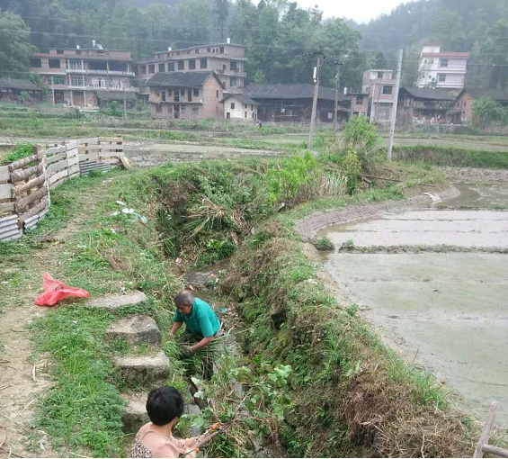 综合治理村洁美,看新邵县迎光乡水口村 如何化