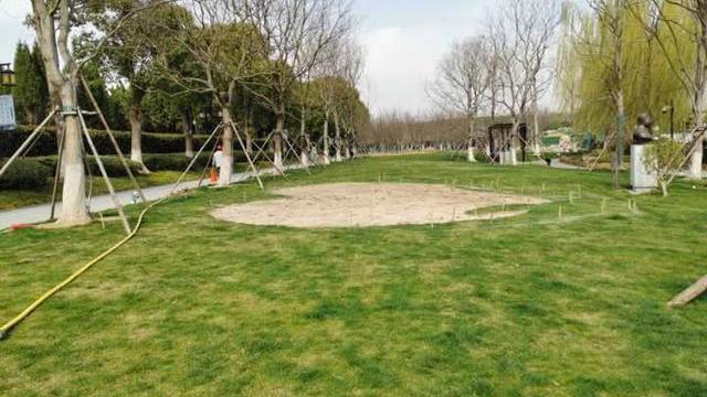 隔着屏幕“寄哀思”，远程祭扫蔚然成风