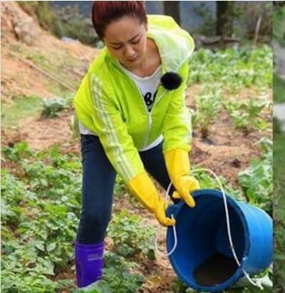六位女明星干农活的照片,秋瓷炫光脚丫最接地